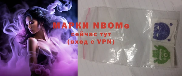 ECSTASY Пересвет