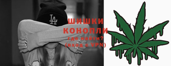 мдпв Пестово